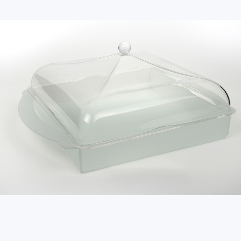 TRAY WITH A COVER